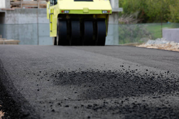 Best Decorative Driveway Pavers  in Wildwood, FL